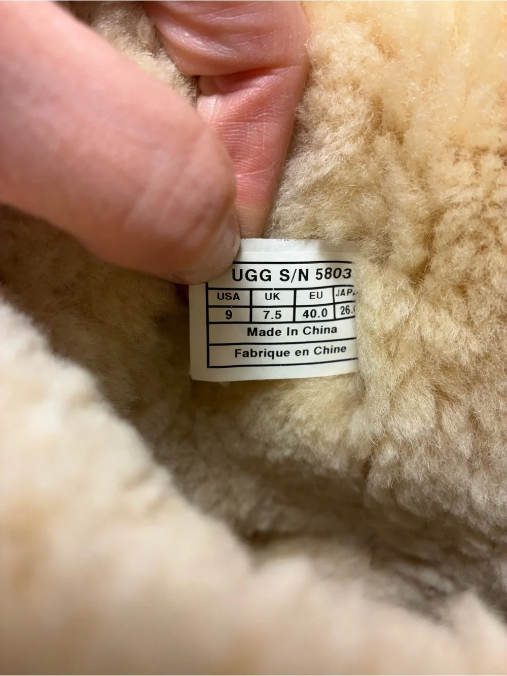 UGG brand’s winter chestnut