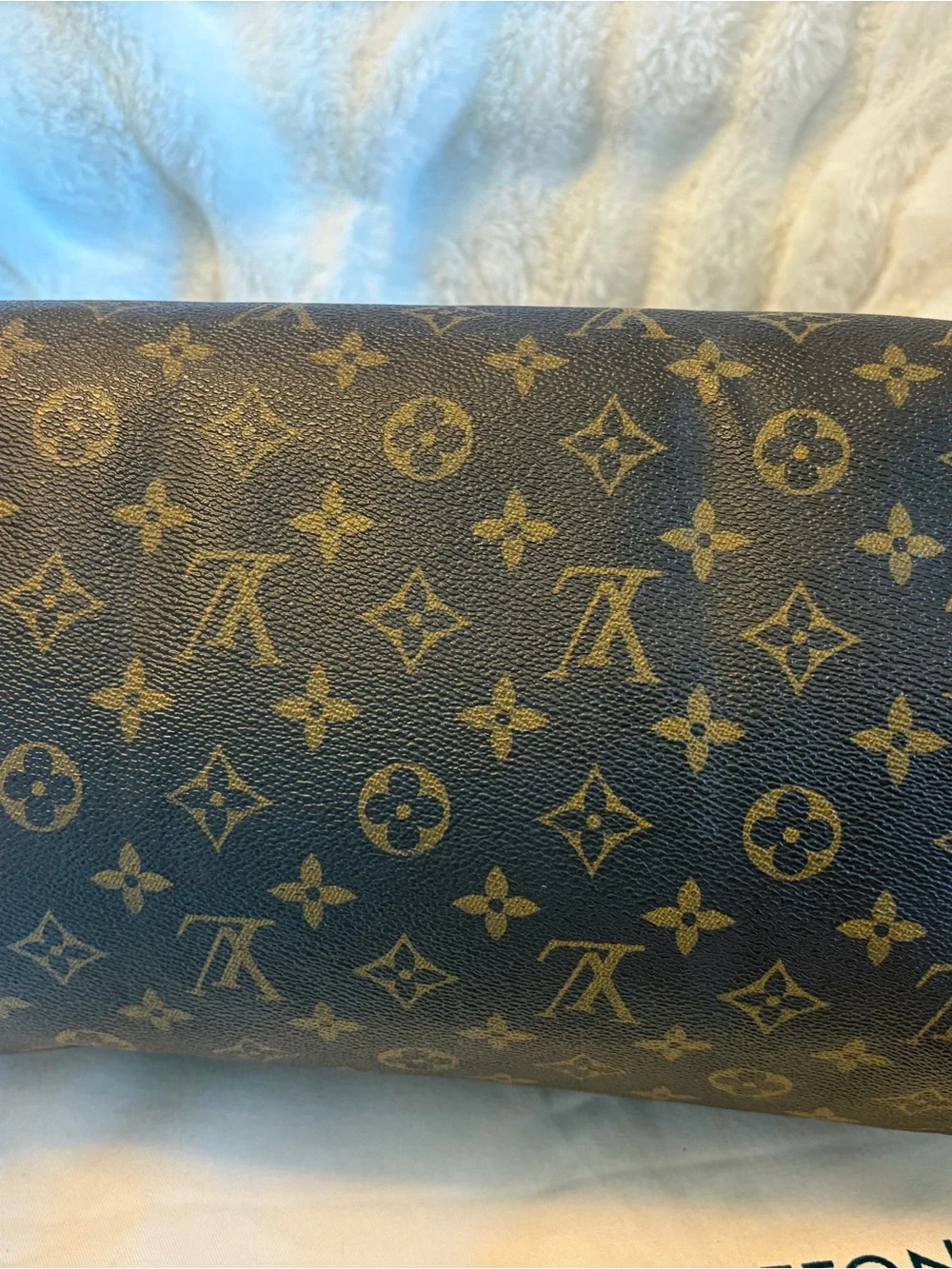 Louis Vuitton classic louis