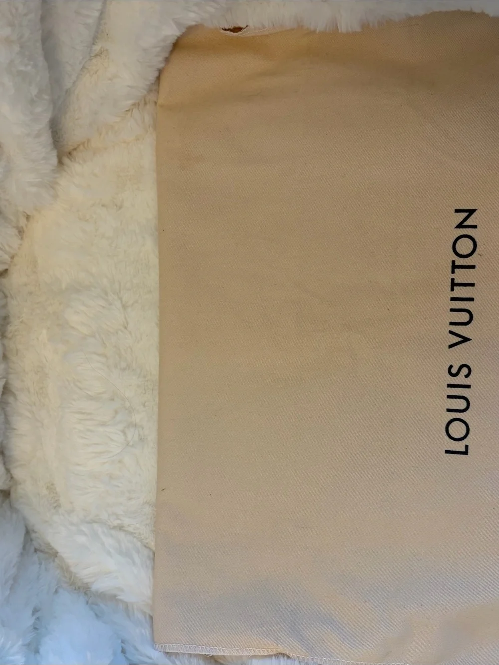 Louis Vuitton classic louis