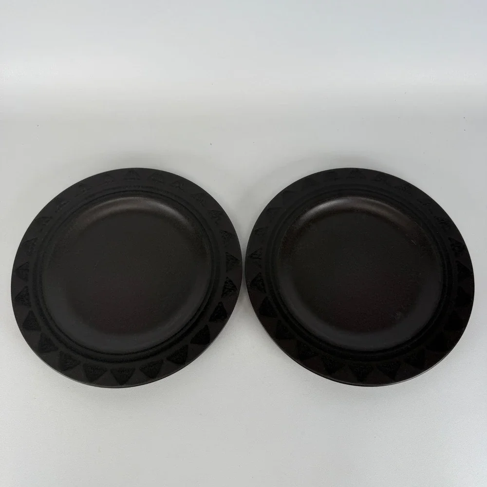 Pfaltzgraff Midnight Sun Brown Set of 2 Dinner Plates 10.5 inches‎ READ