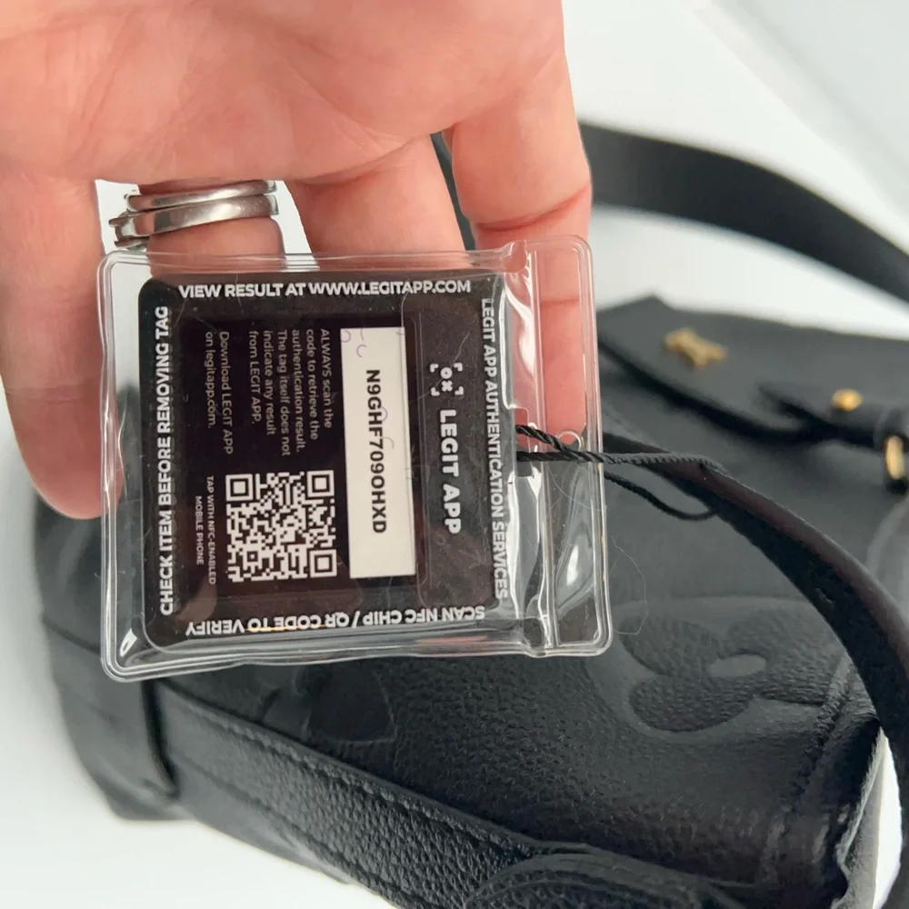 Louis Vuitton chic louis