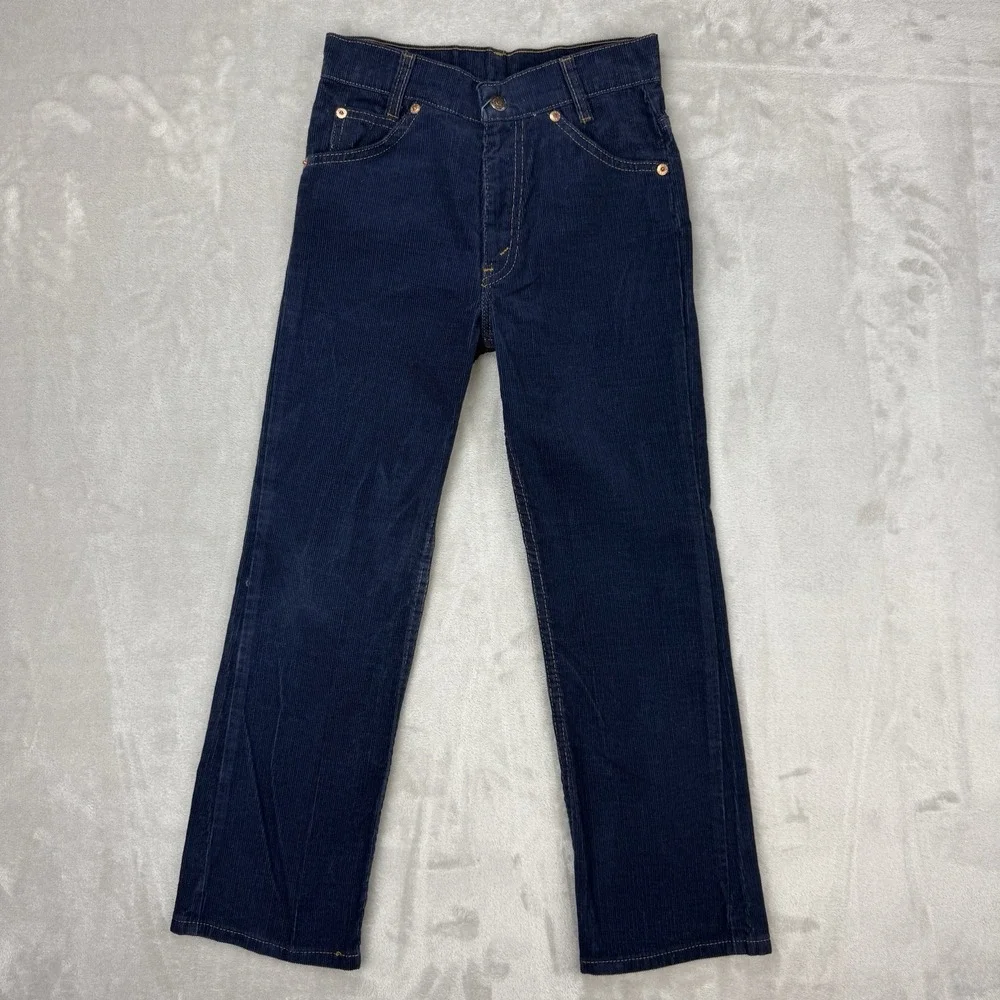 Levis lot vtg