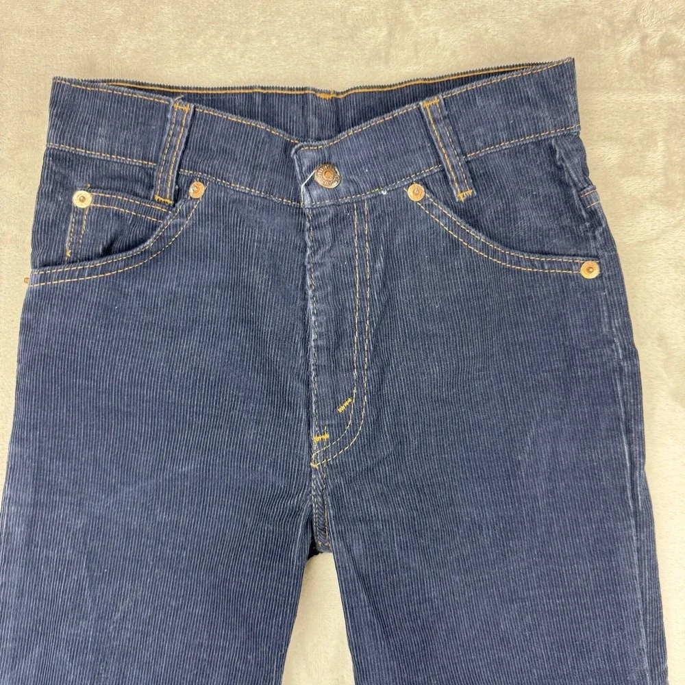 Levis lot vtg