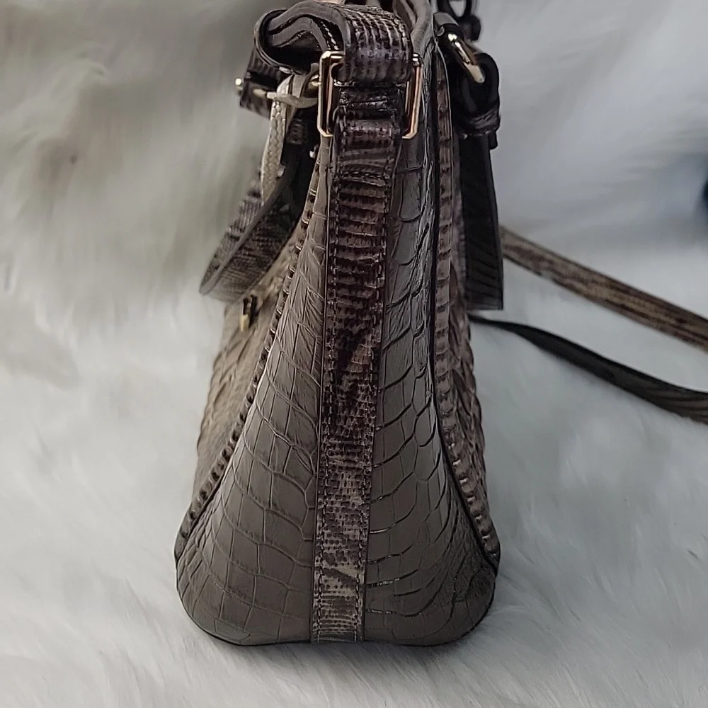 Brahmin mini asher