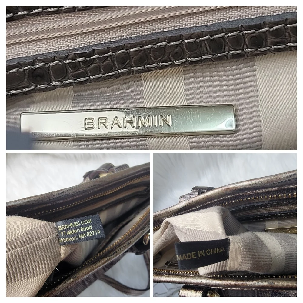 Brahmin mini asher