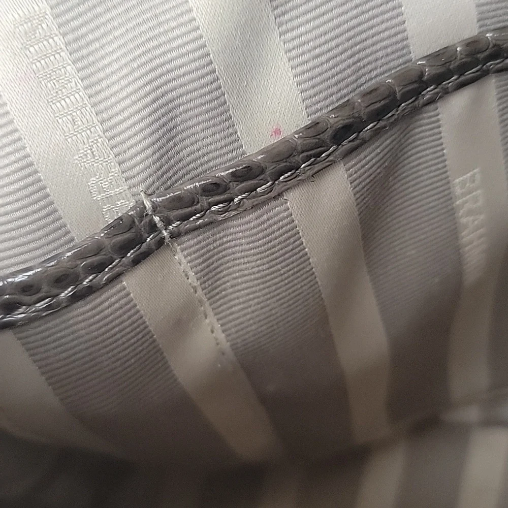 Brahmin mini asher