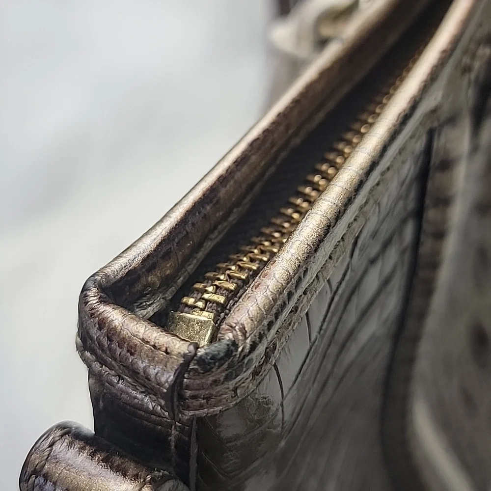 Brahmin mini asher