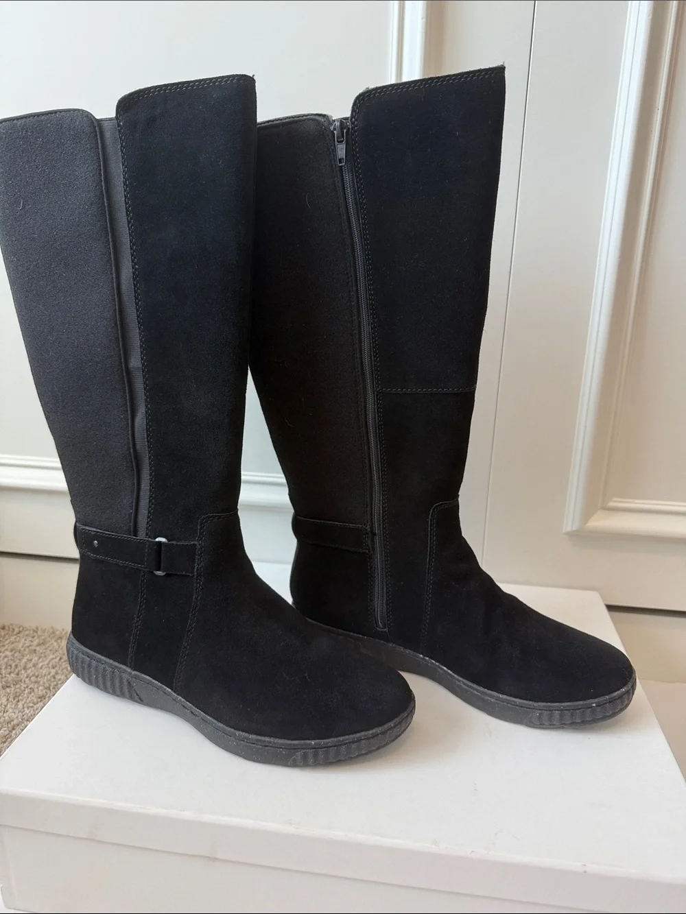 Clarks single owner