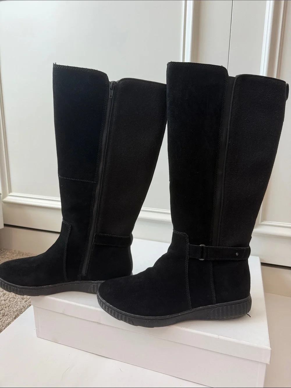 Clarks single owner