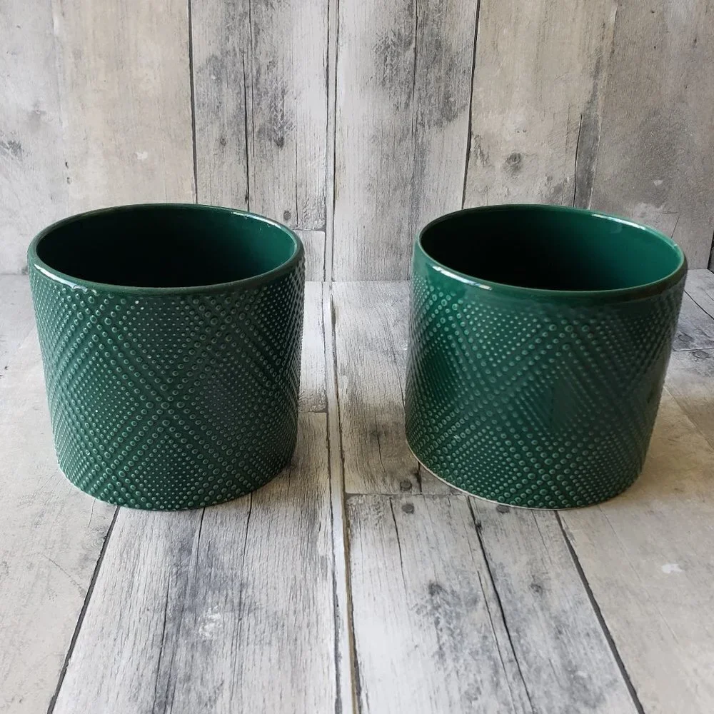 Ceramic Green Plant Containers with Dot Pattern (set of 2)