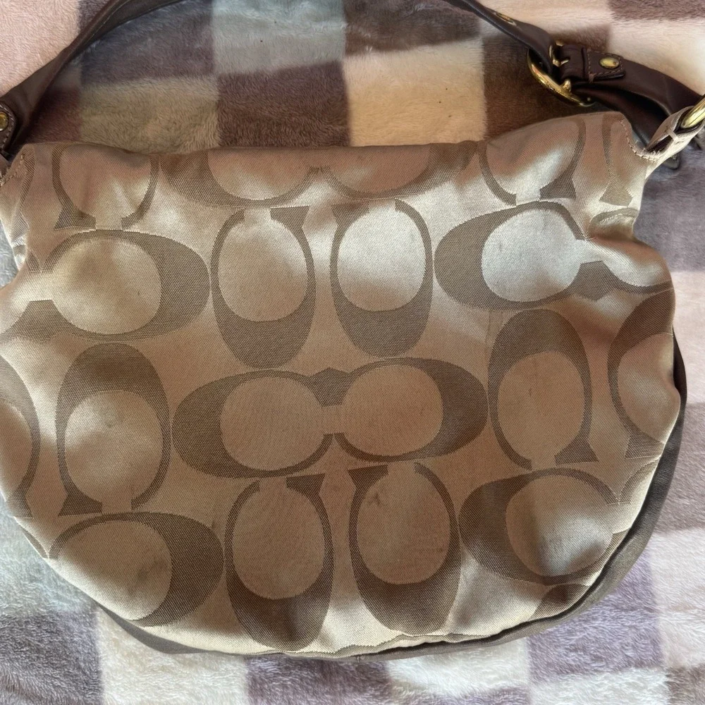 Coach 13641 ali