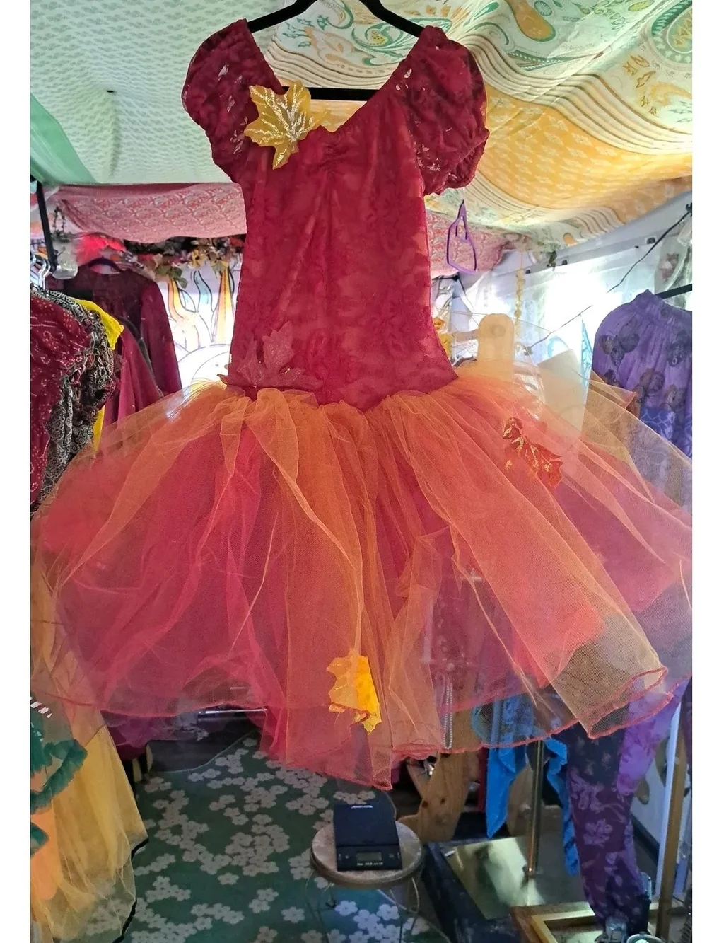 Autumn Ember Fairy Tutu Dress – I.M. International Child Medium