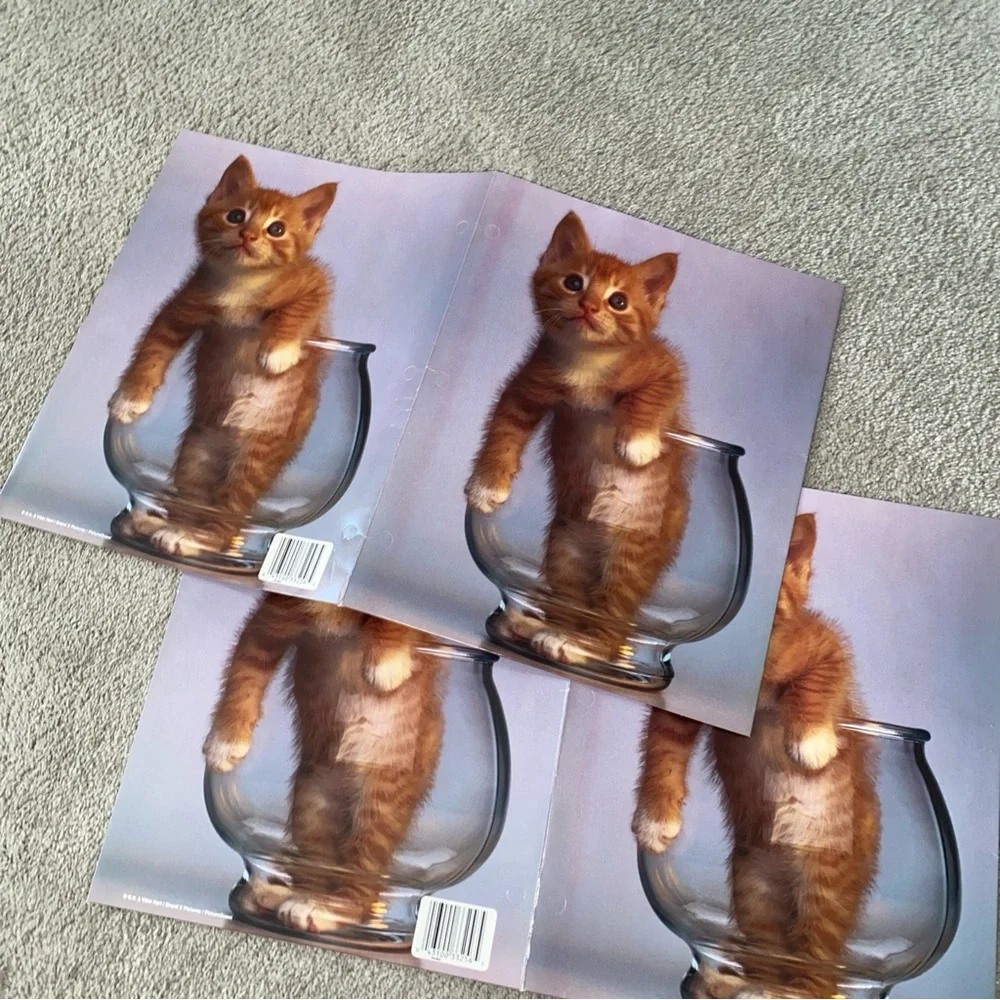 Mead includes two