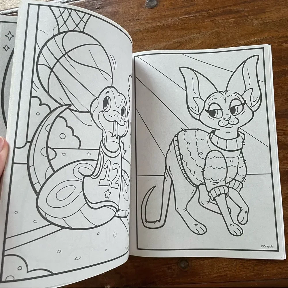 Bundle of 3 Crayola/ Barbie/ Paw Patrol Coloring Books NEW