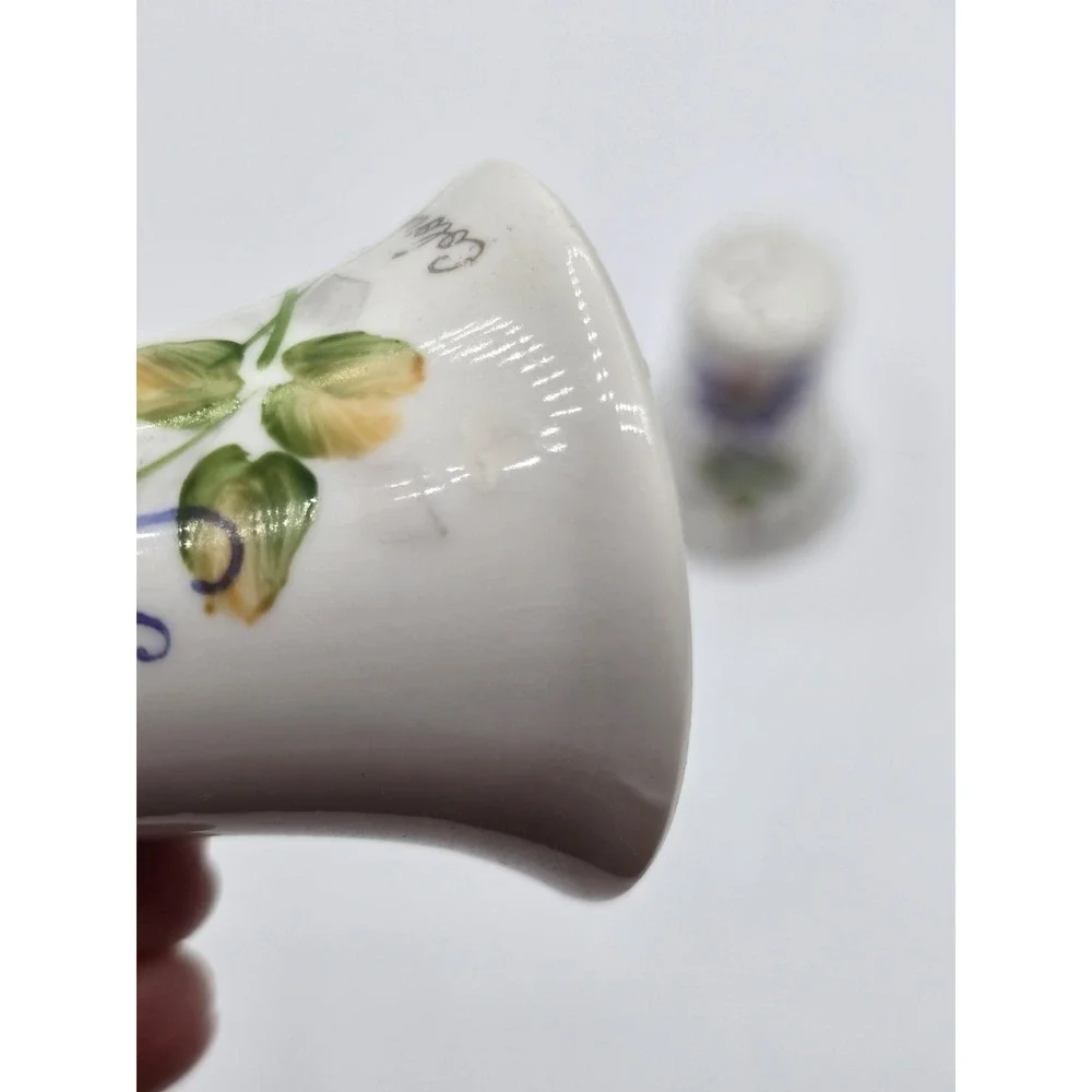 Vintage Colorado Columbine Floral Salt & Pepper Shakers‎ Flower