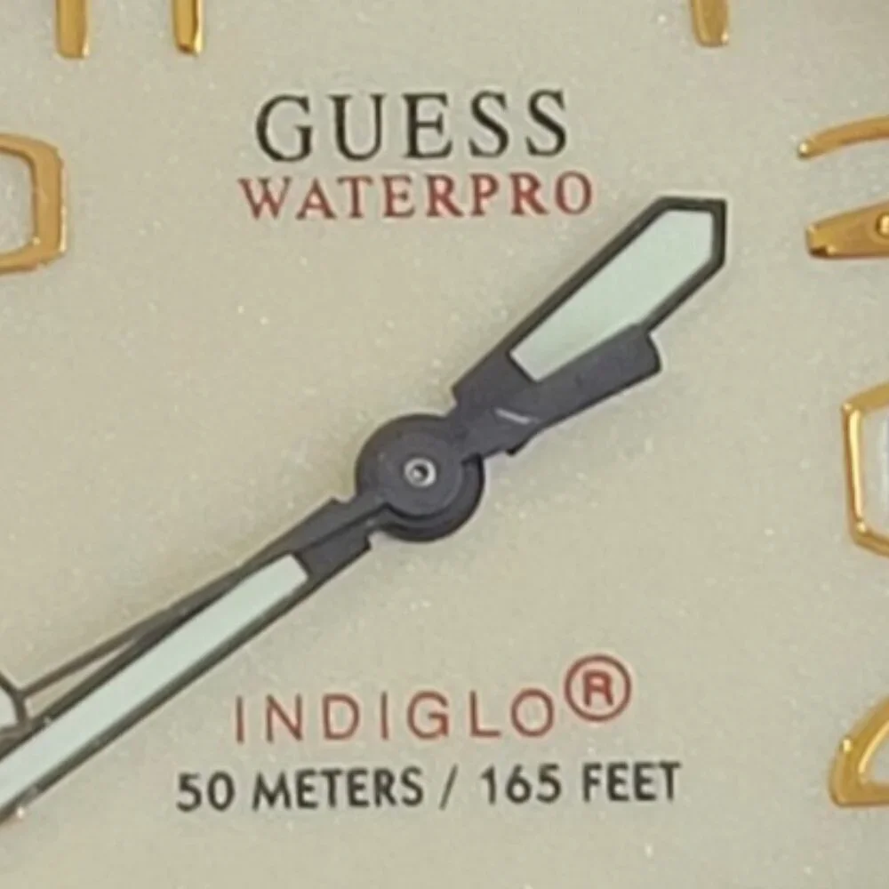 Guess waterpro indiglo