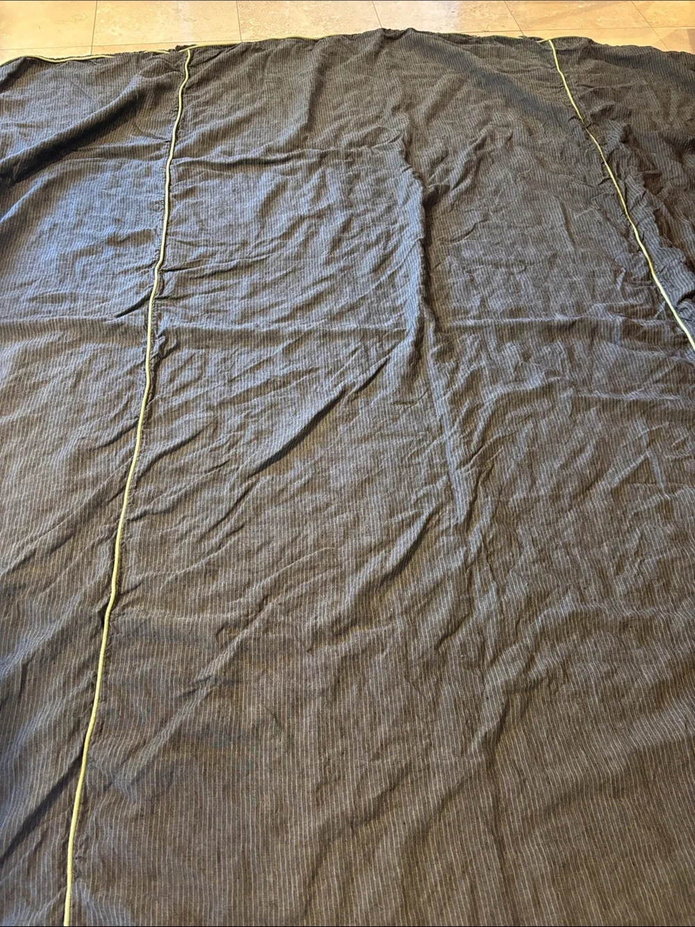 Orchids Casa 89” star leave