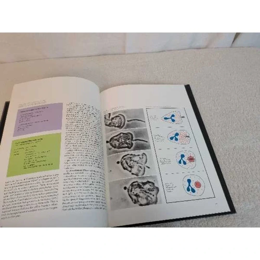 Upjohn inflammation scope