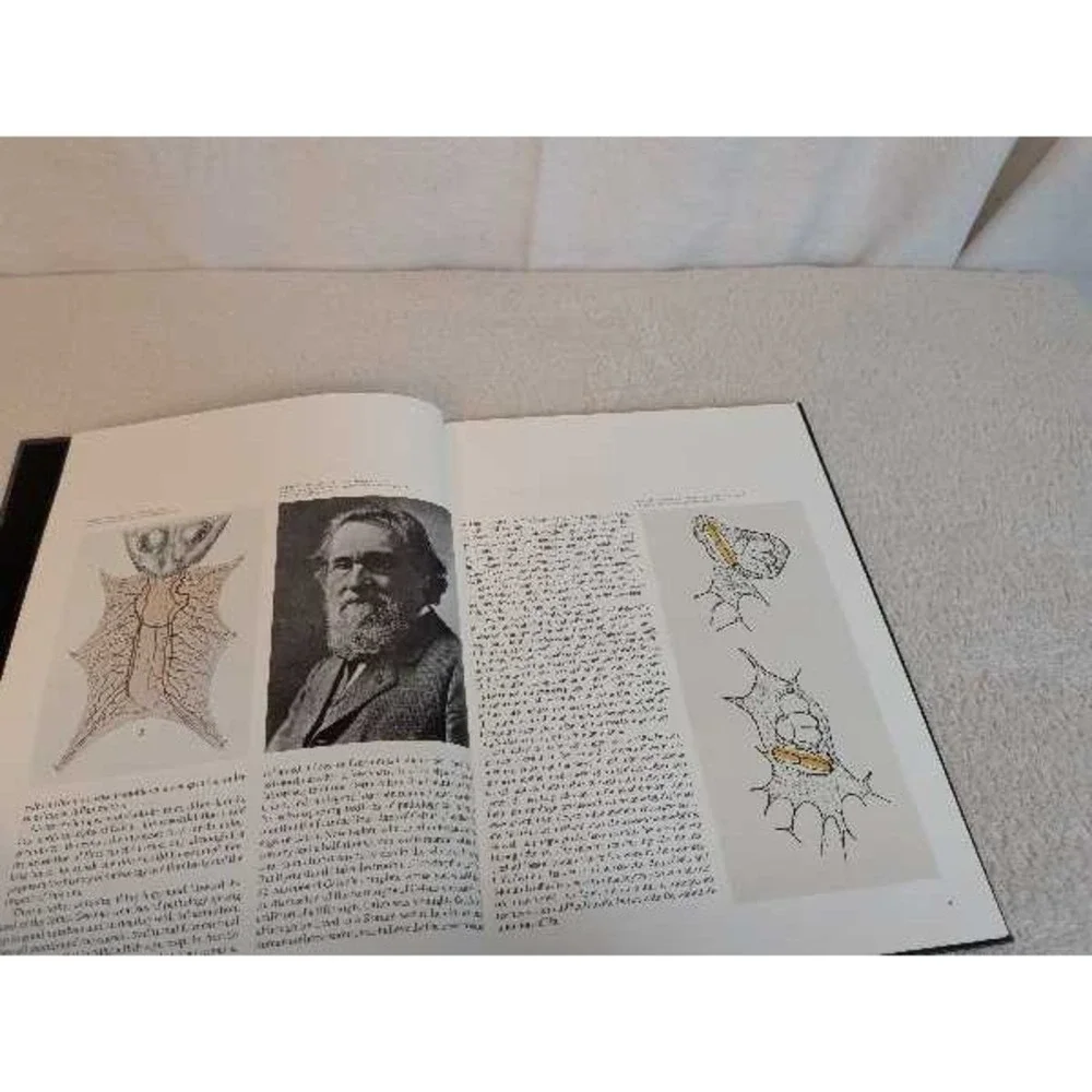 Upjohn inflammation scope
