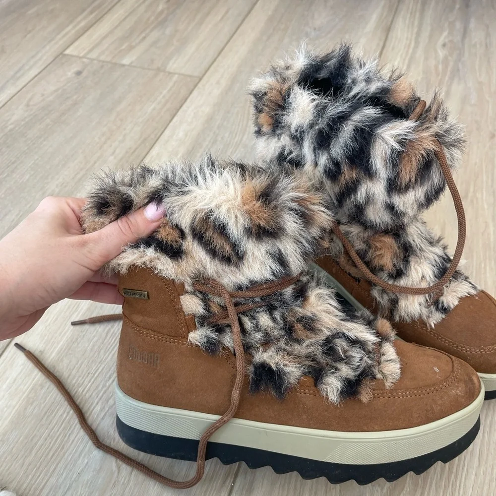Cougar cheetah fur