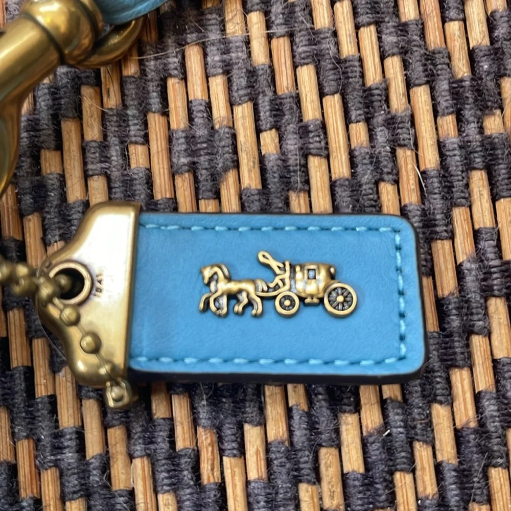 Coach elegant stylish