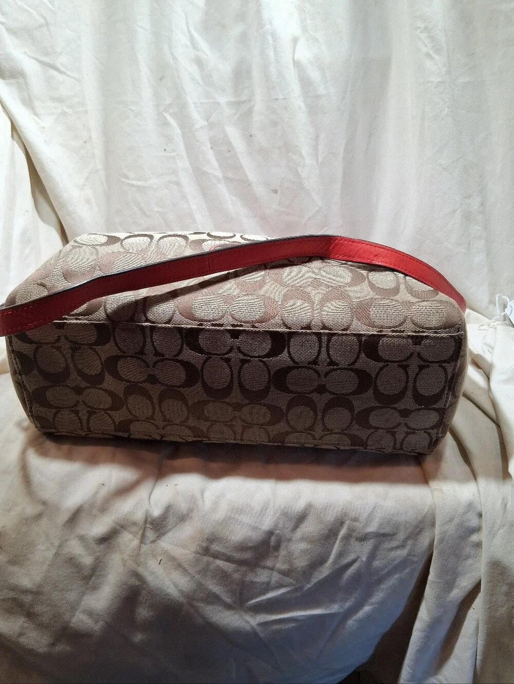 Coach signature celeste