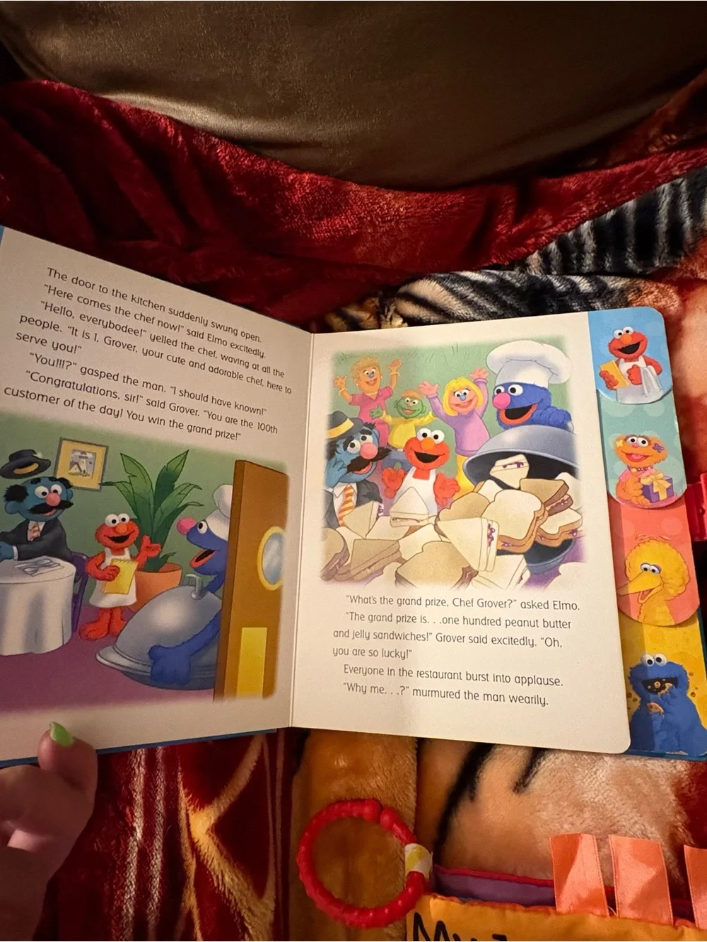 Sesame Street teething books cover