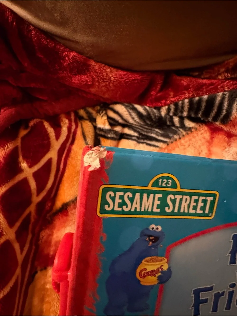 Sesame Street review zebra baby