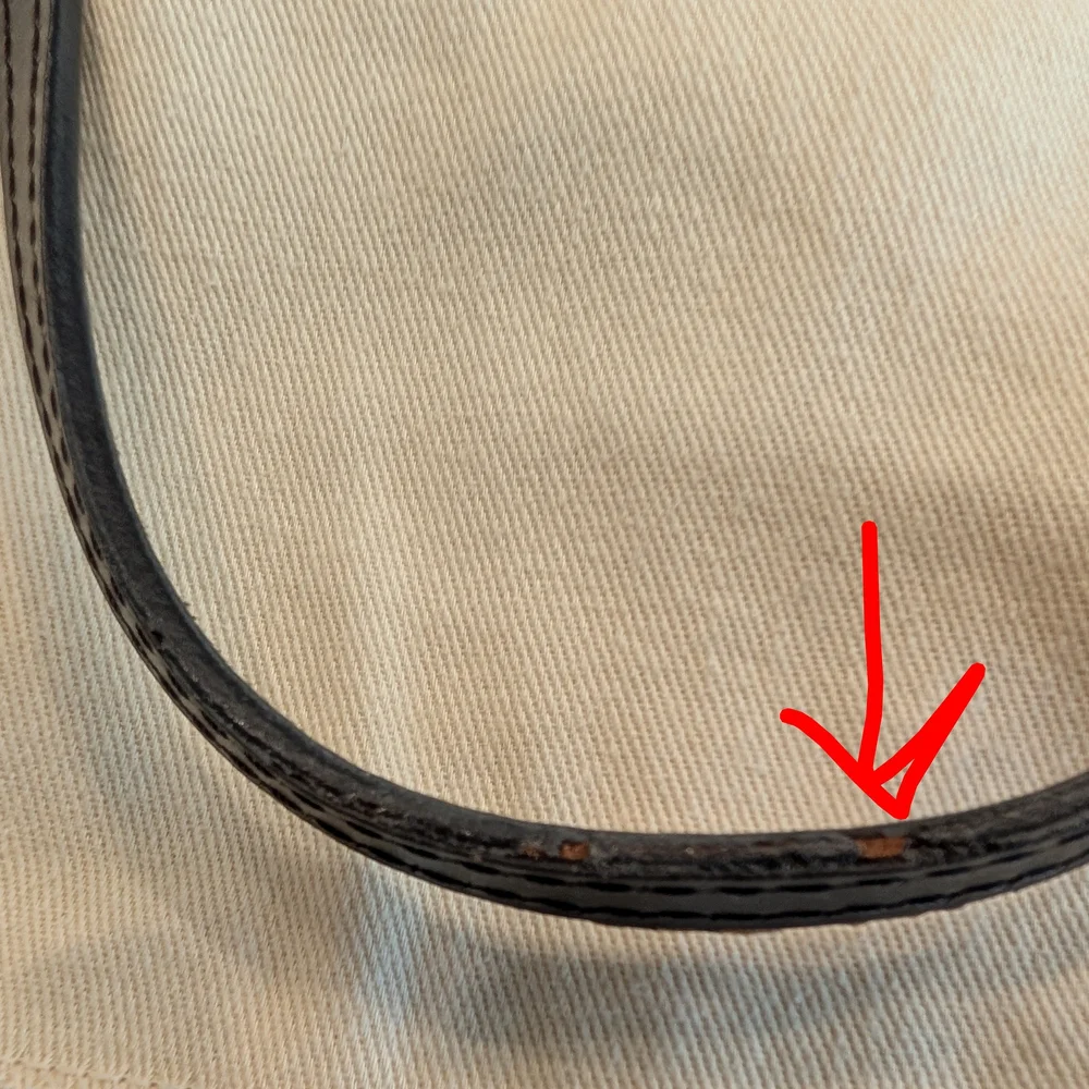 Louis Vuitton authentic louis