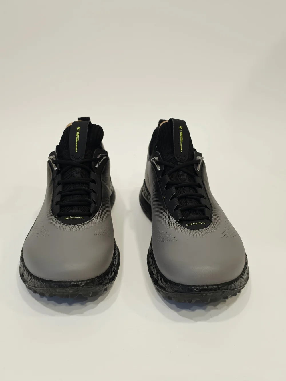 Ecco elevate your