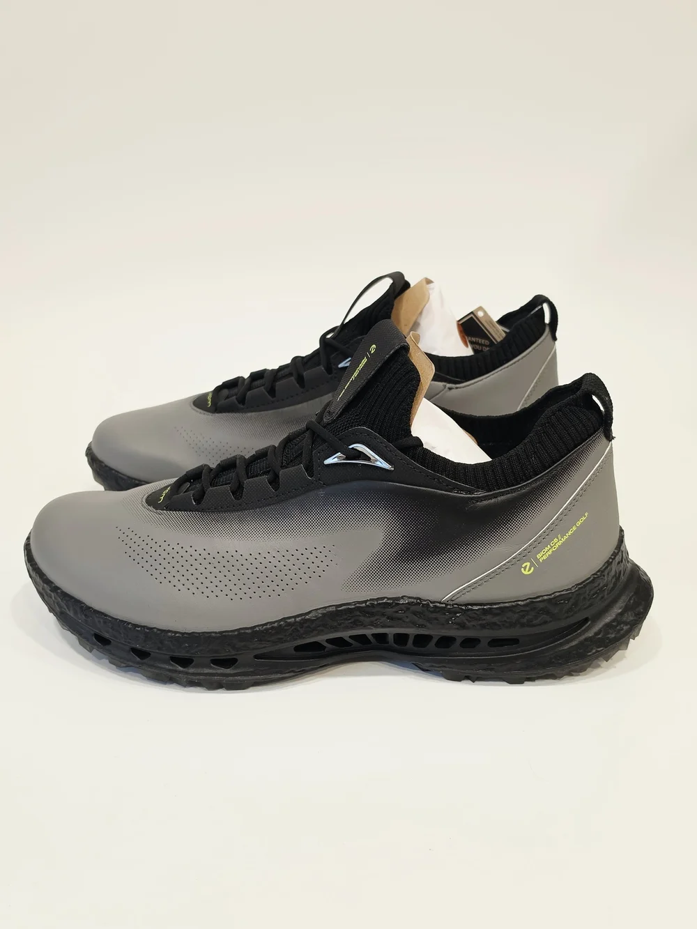 Ecco elevate your