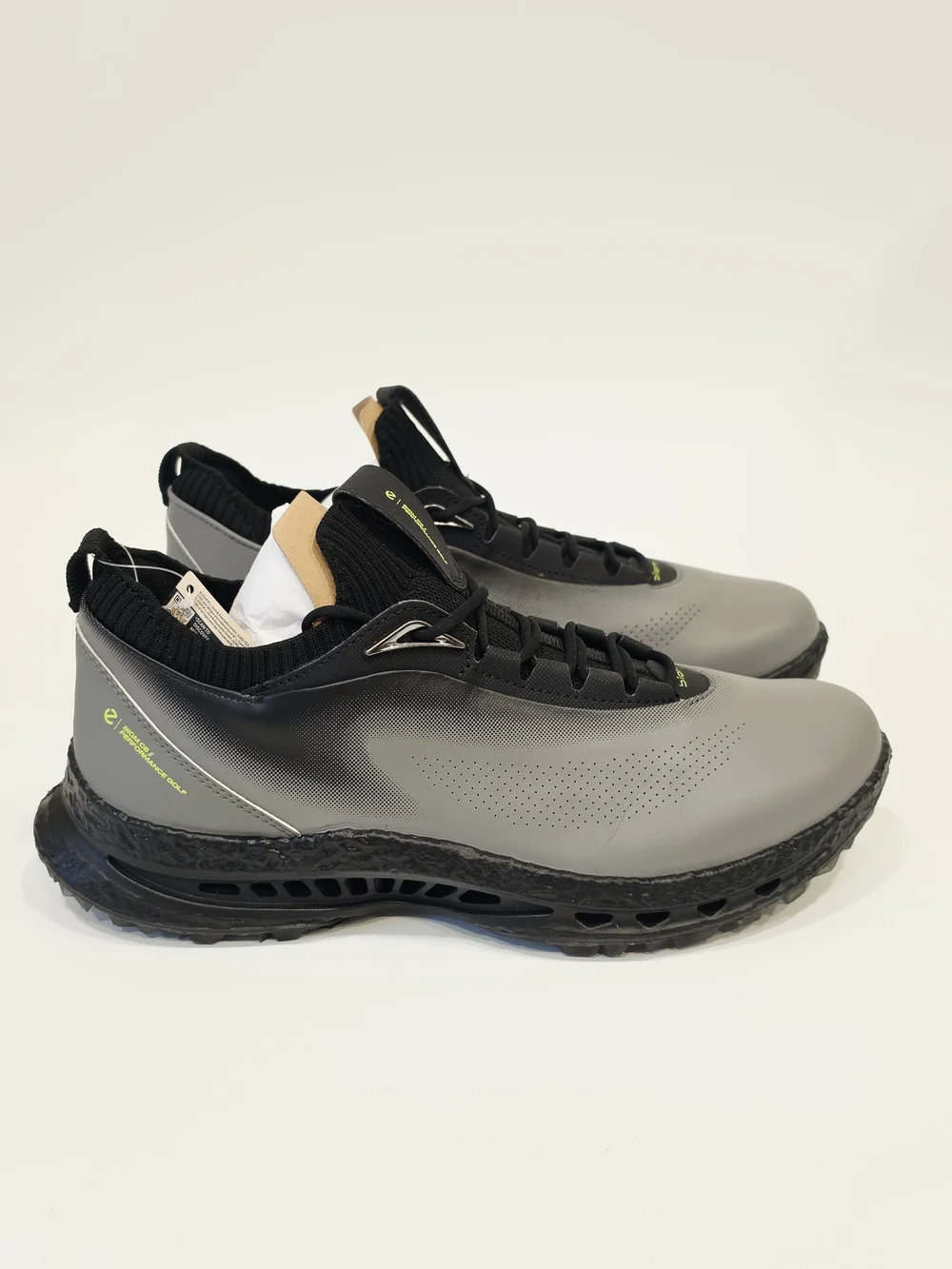 Ecco elevate your