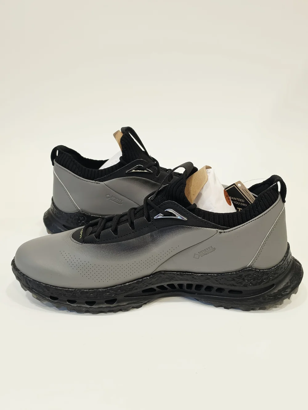 Ecco elevate your