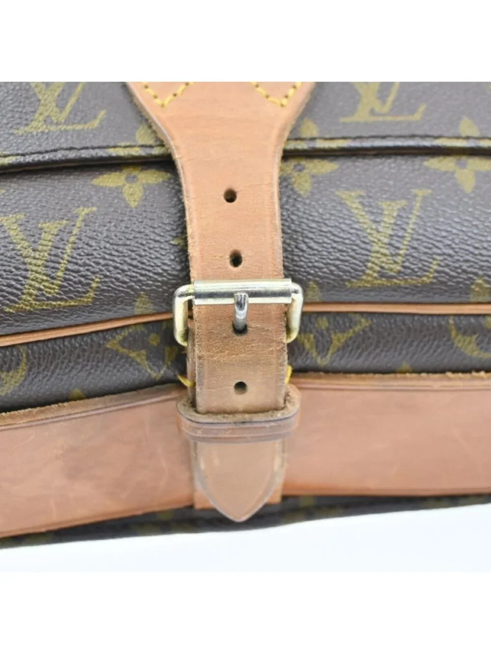 Louis Vuitton brand louis