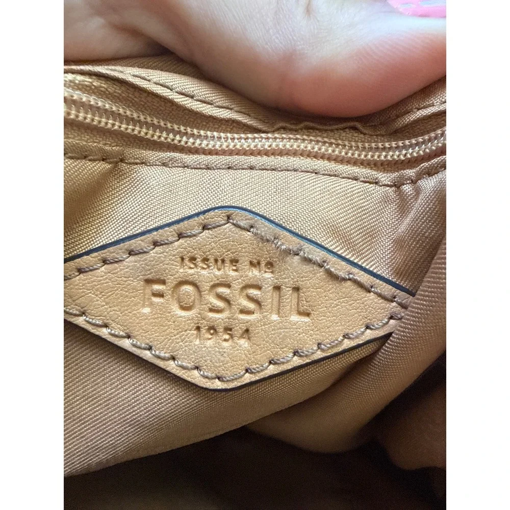 Fossil small dark