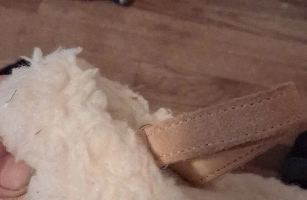 BearPaw moccasins soft
