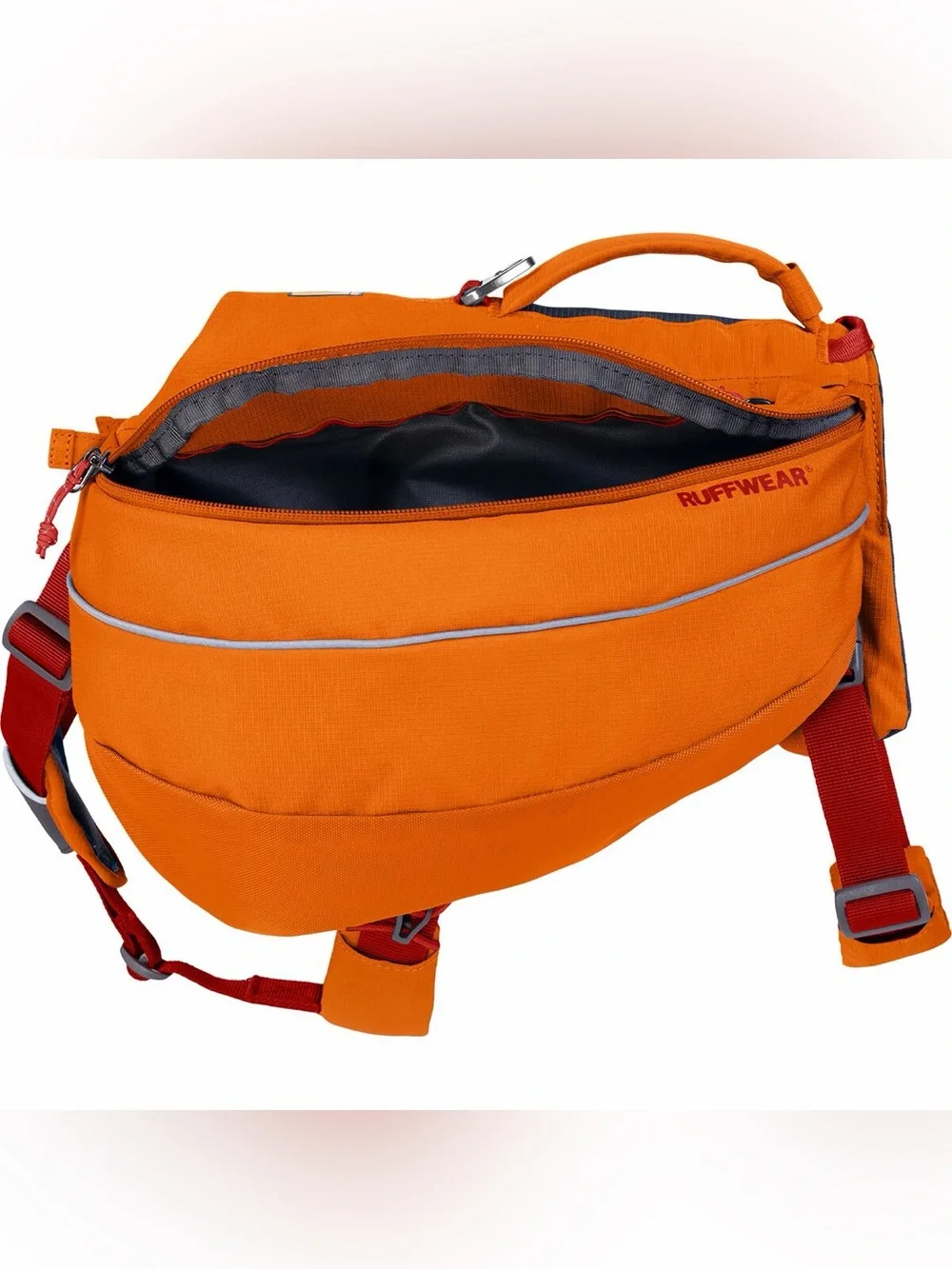 RuffWear new dog
