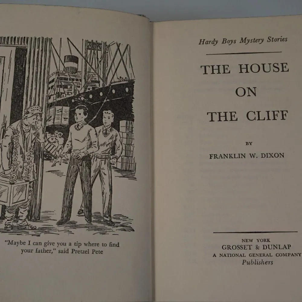 The Hardy Boys hardy boys
