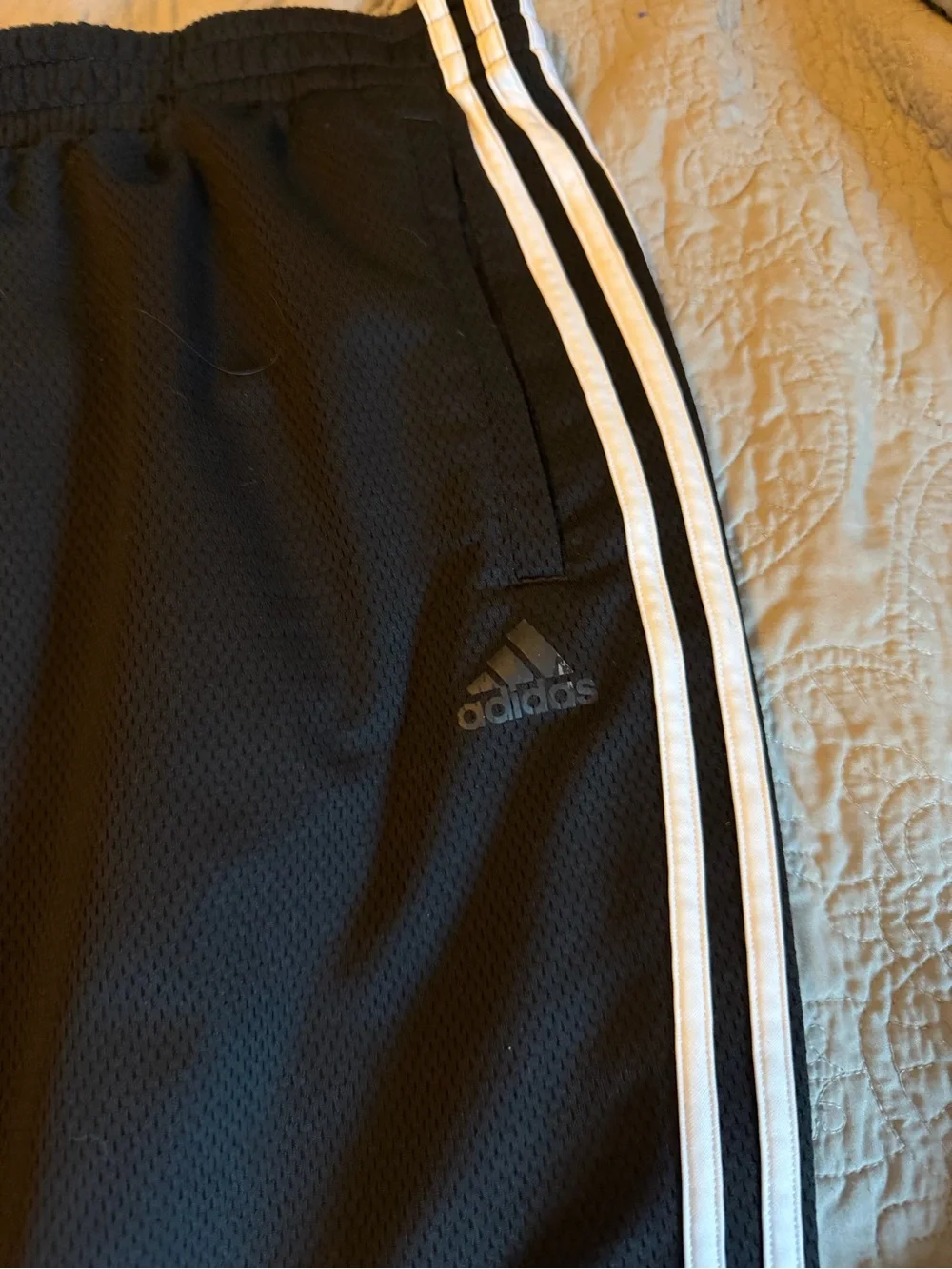 adidas men’s pants