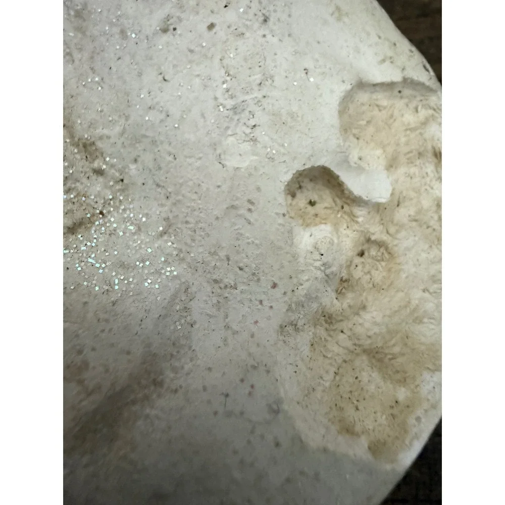 N/A excellent small