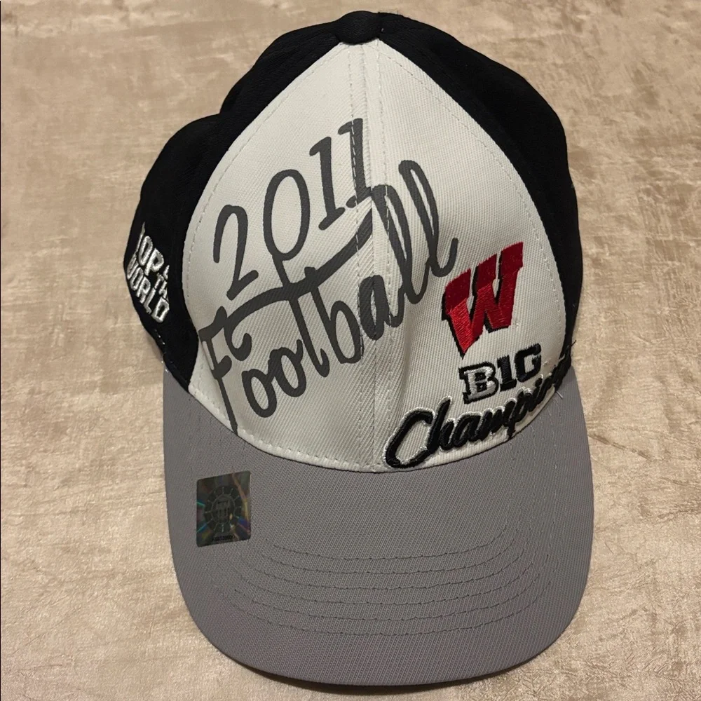 Wisconsin Badgers Hat 2011 Big Ten Champions Adjustable‎ Locker Room Edition Hat