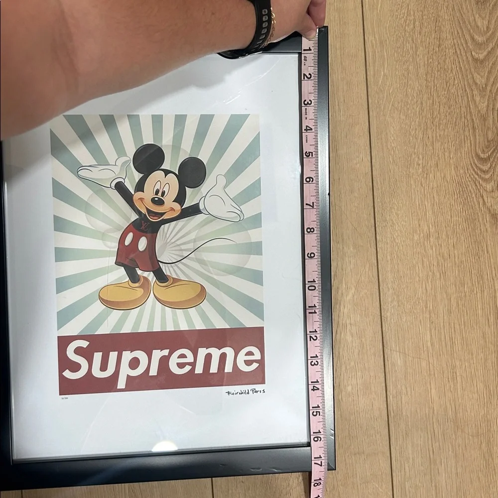 Supreme mickey mouse