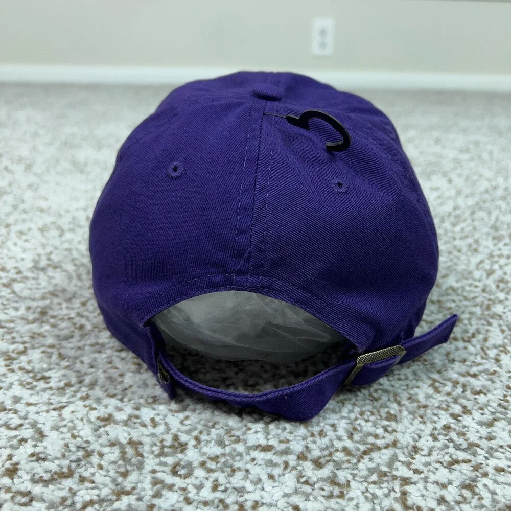 ’47 minnesota vikings