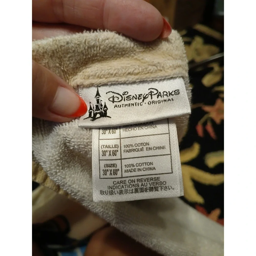 Disney this parks