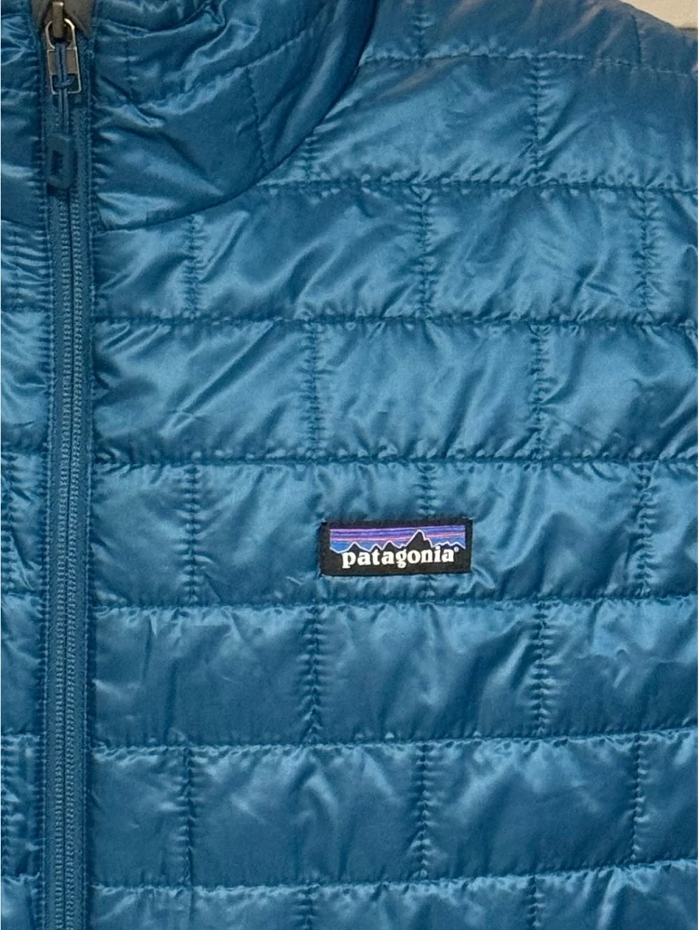 Patagonia will ship