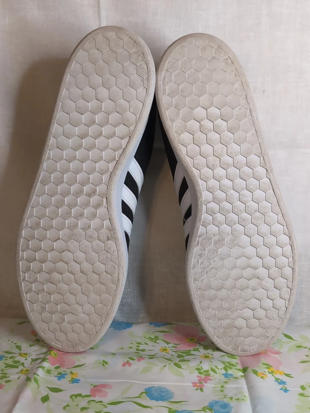adidas pair neo