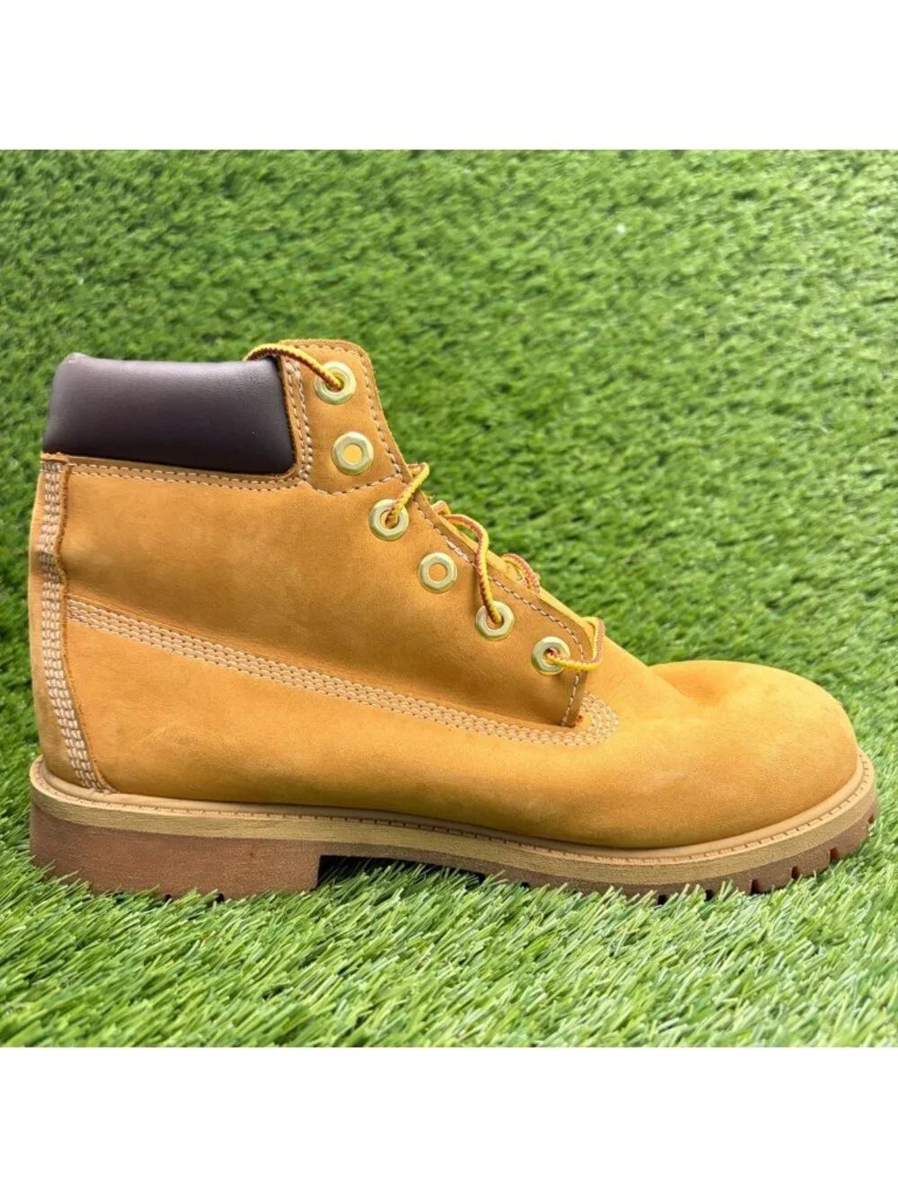 Timberland before shown