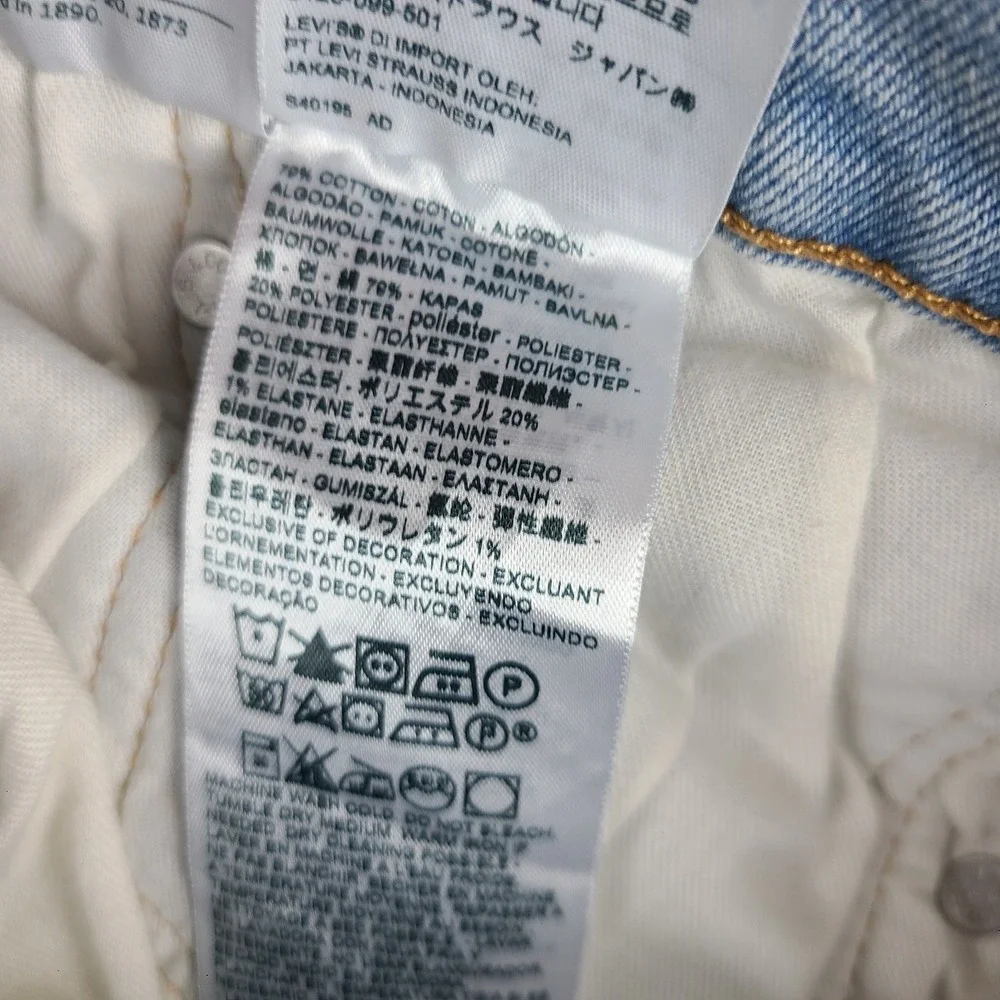 Levis levi 541