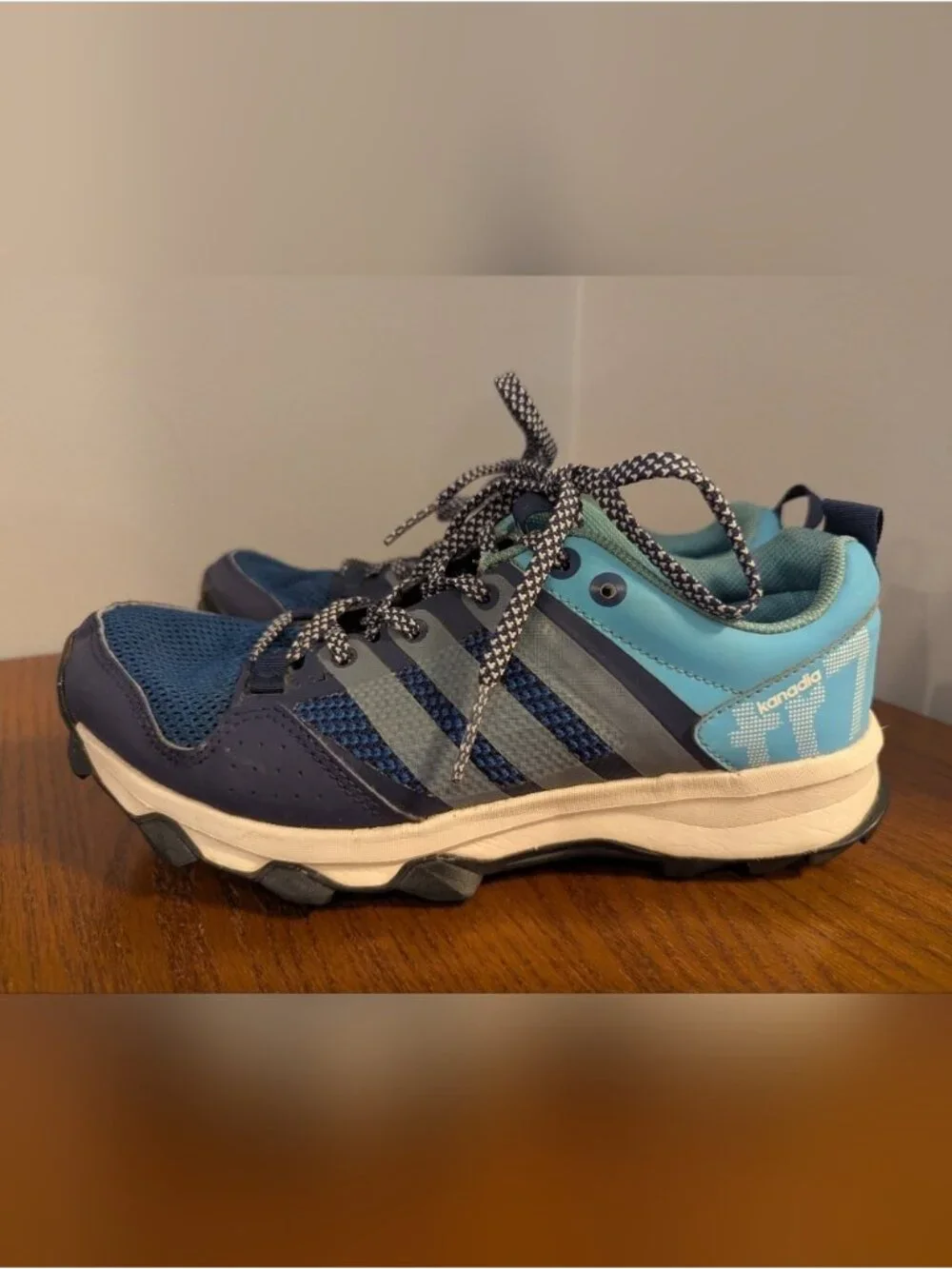 adidas kanadia tr