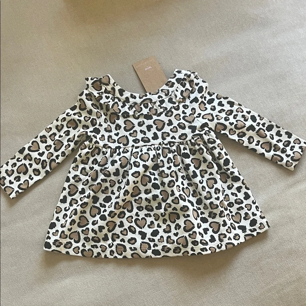 Savannah adorable leopard